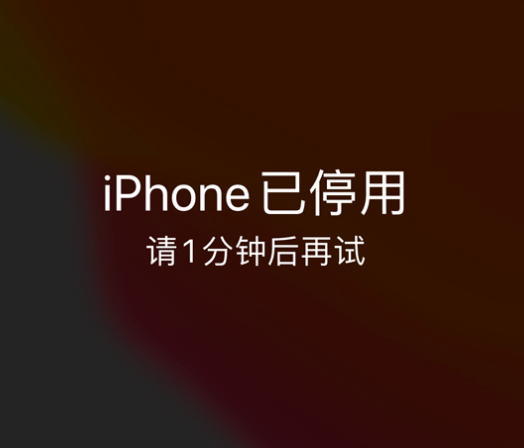 章贡苹果手机维修分享:iPhone 显示“不可用”或“已停用”怎么办？还能保留数据吗？ 