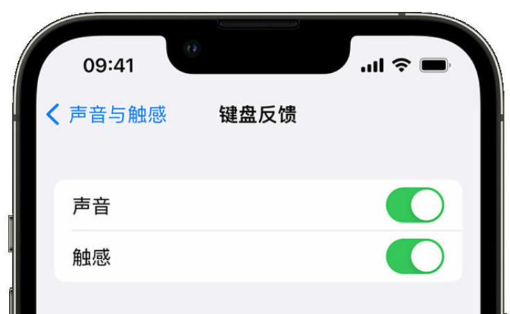 章贡苹果手机维修分享iPhone 14触感键盘使用方法 