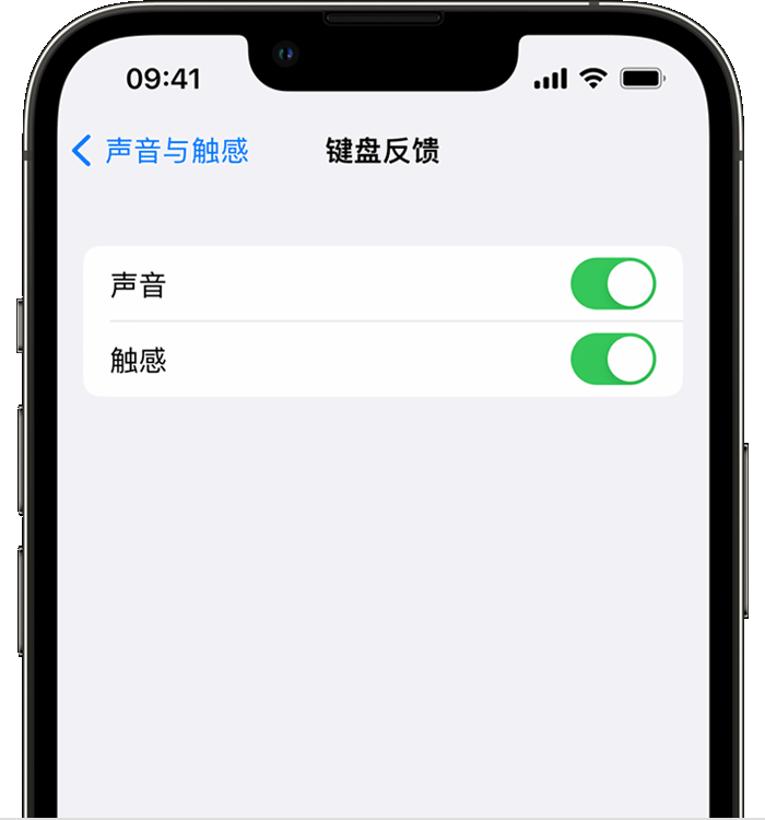 章贡苹果14维修店分享如何在 iPhone 14 机型中使用触感键盘 