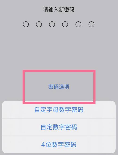 章贡苹果14维修分享iPhone 14plus设置密码的方法 