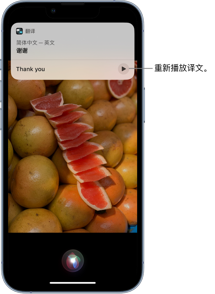 章贡苹果14维修分享 iPhone 14 机型中使用 Siri：了解 Siri 能帮你做什么 