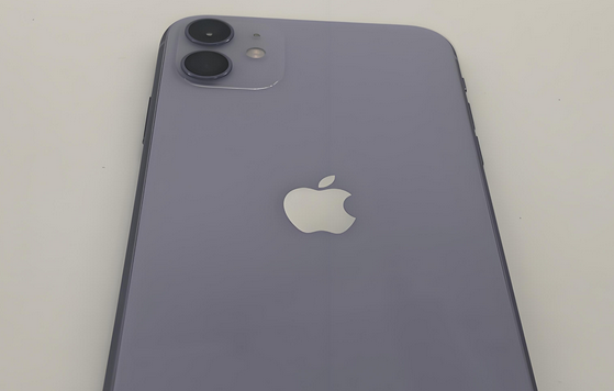 章贡苹果11系统维修分享iPhone11手机系统崩溃无法开机如何解决 